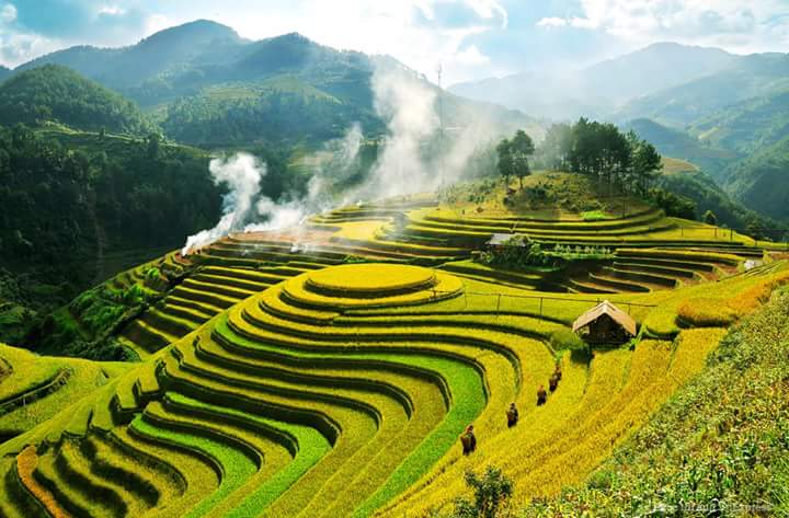 Pu Luong nature reserve-rice field