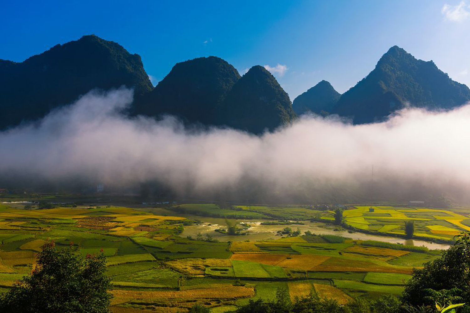 Rice fields in Cao Bang