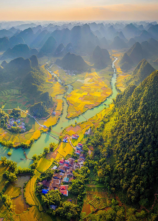 Rice terrace in Trung Khanh- Cao Bang