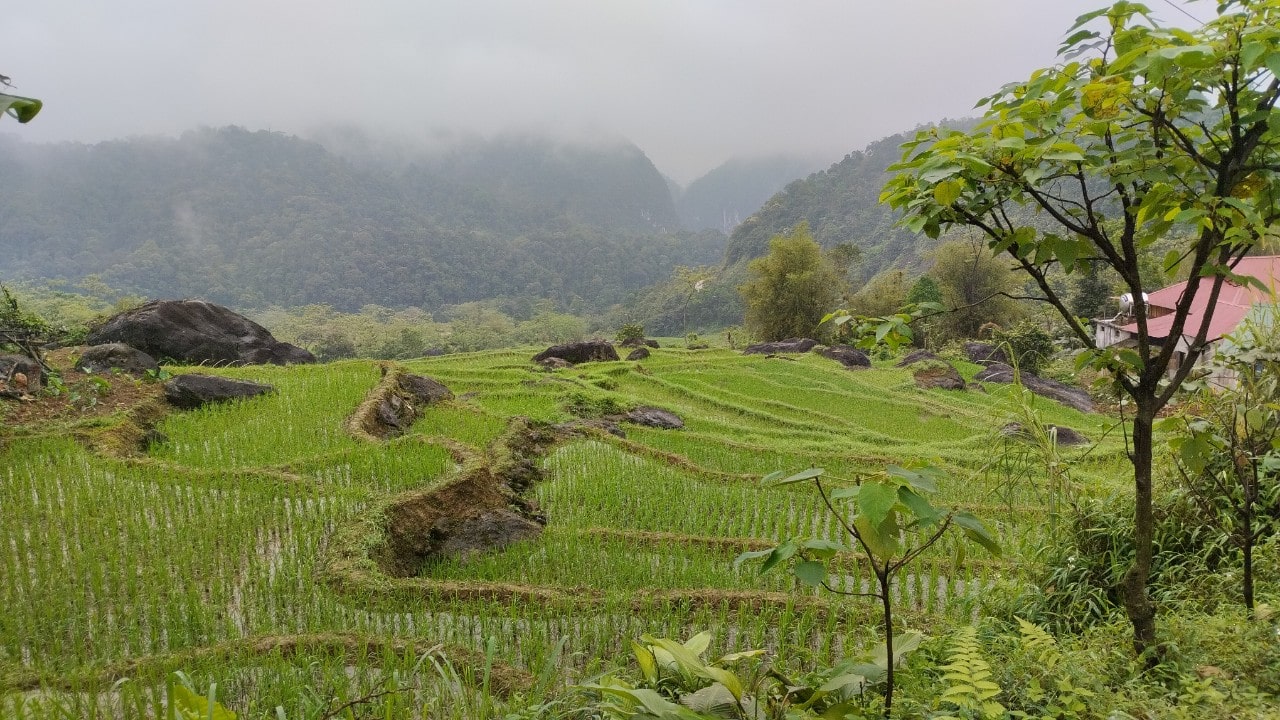 Pu Luong Mountain rice terraces