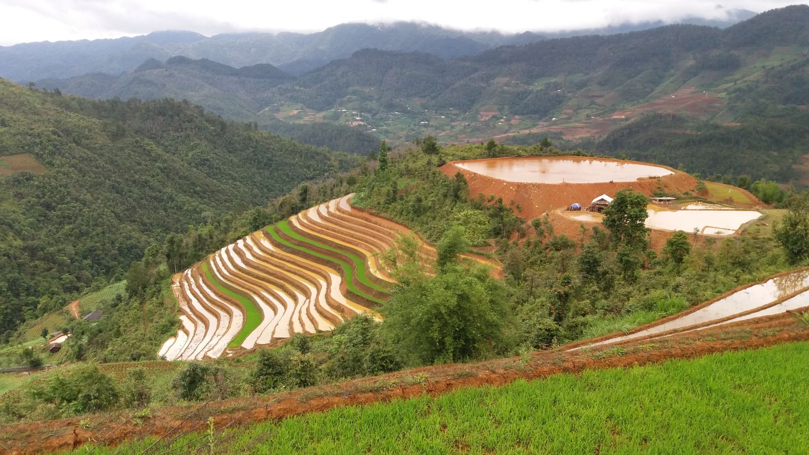 Rice terraced fields in Mu Cang Chai