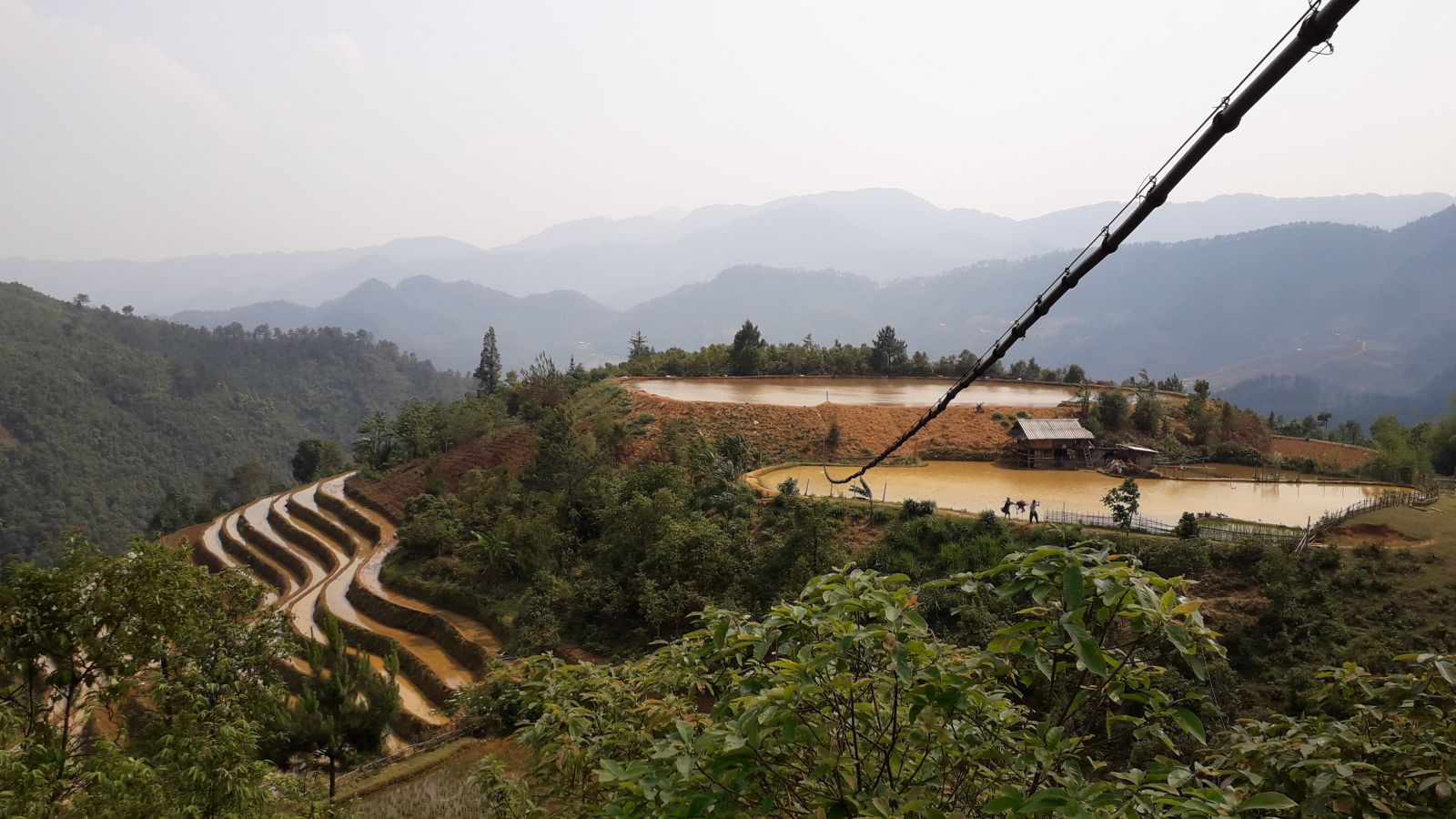 Mu Cang Chai rice terraces in falling water time