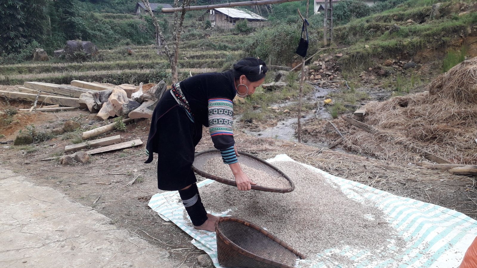 Local life