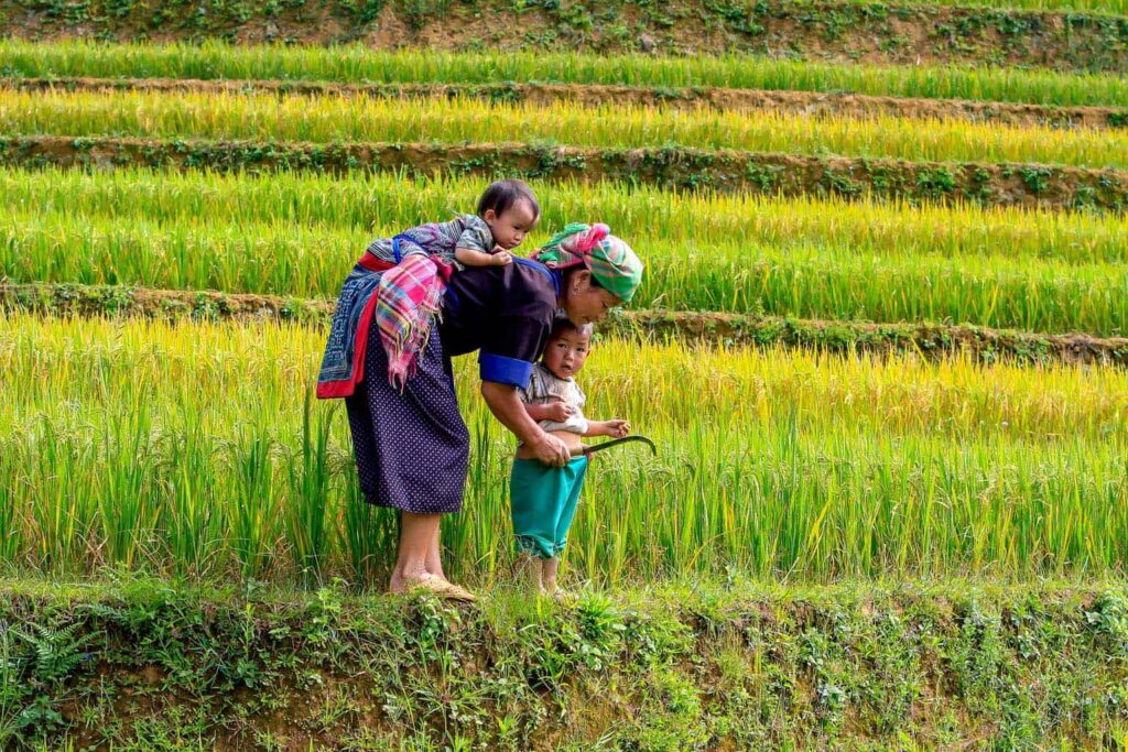 Authentic Sapa Experience : 2-Day Trekking & Village Homestay