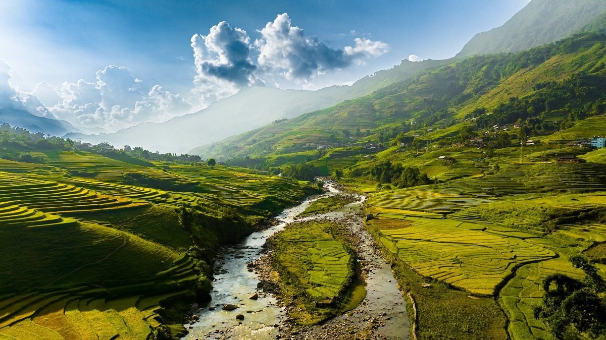 Rice terraces down Muong Hoa valley