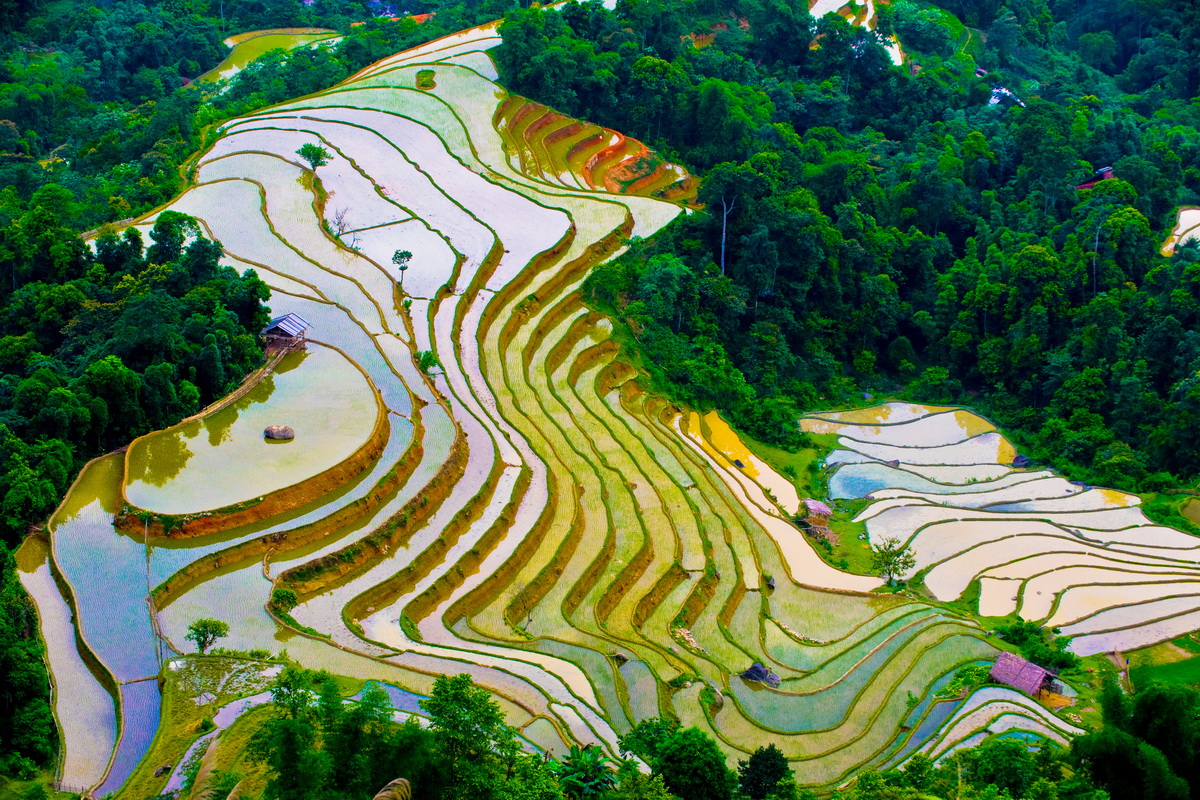 Sapa rice terrace - Falling water time