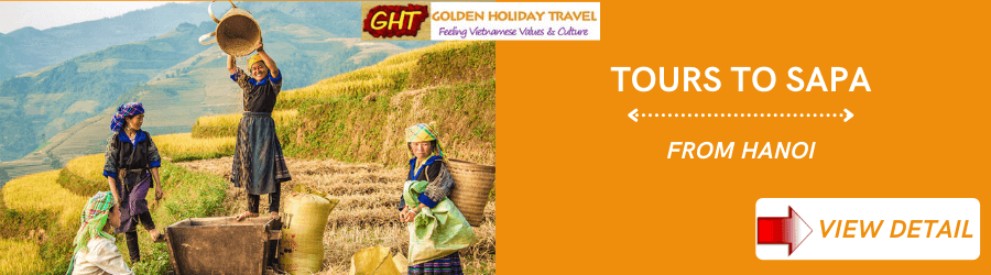 Sapa customized trip to Fansipan