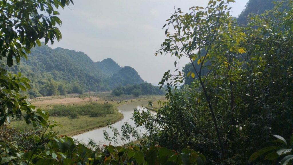 2-Day Ninh Binh Tour: Cuc Phuong Trekking, Galaxy Grotto Boat Ride & Hoa Lu Temples