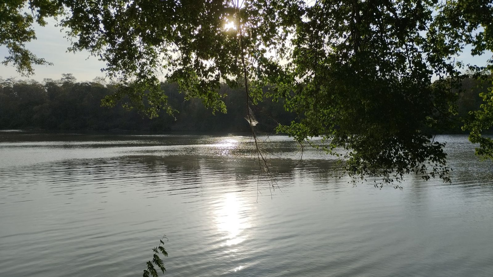 River at Yok Don 