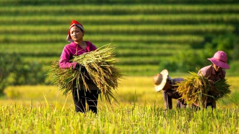 Hidden & Authentic Sapa: Day Trek to Ban Khoang, Ta Giang Phin Villages & Love Waterfall