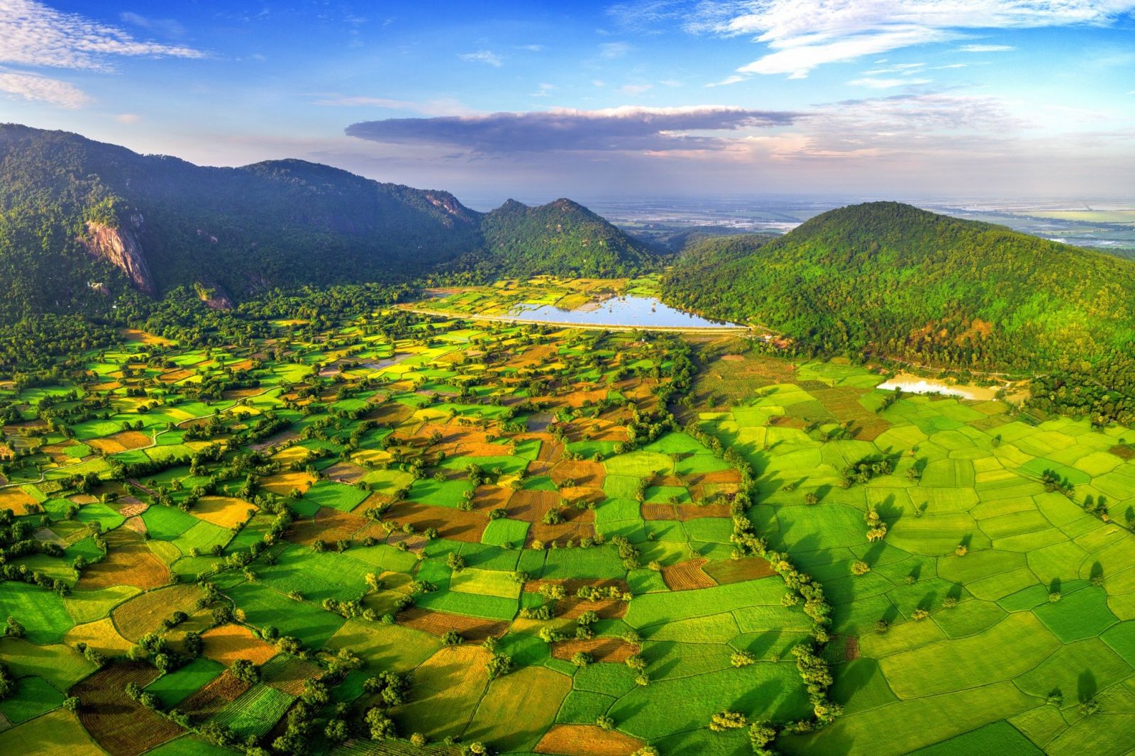 Ta Pa rice fields - An Giang