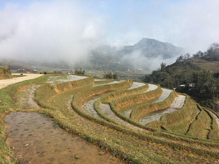 Rice terrace ta phin village