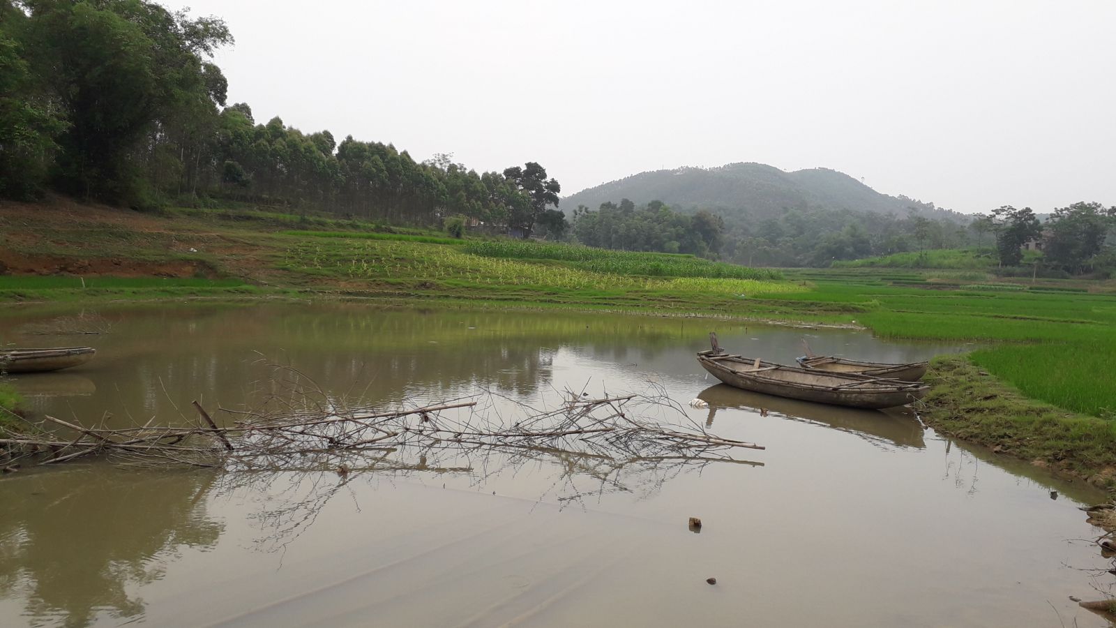 Homstay view to the lake & rice field