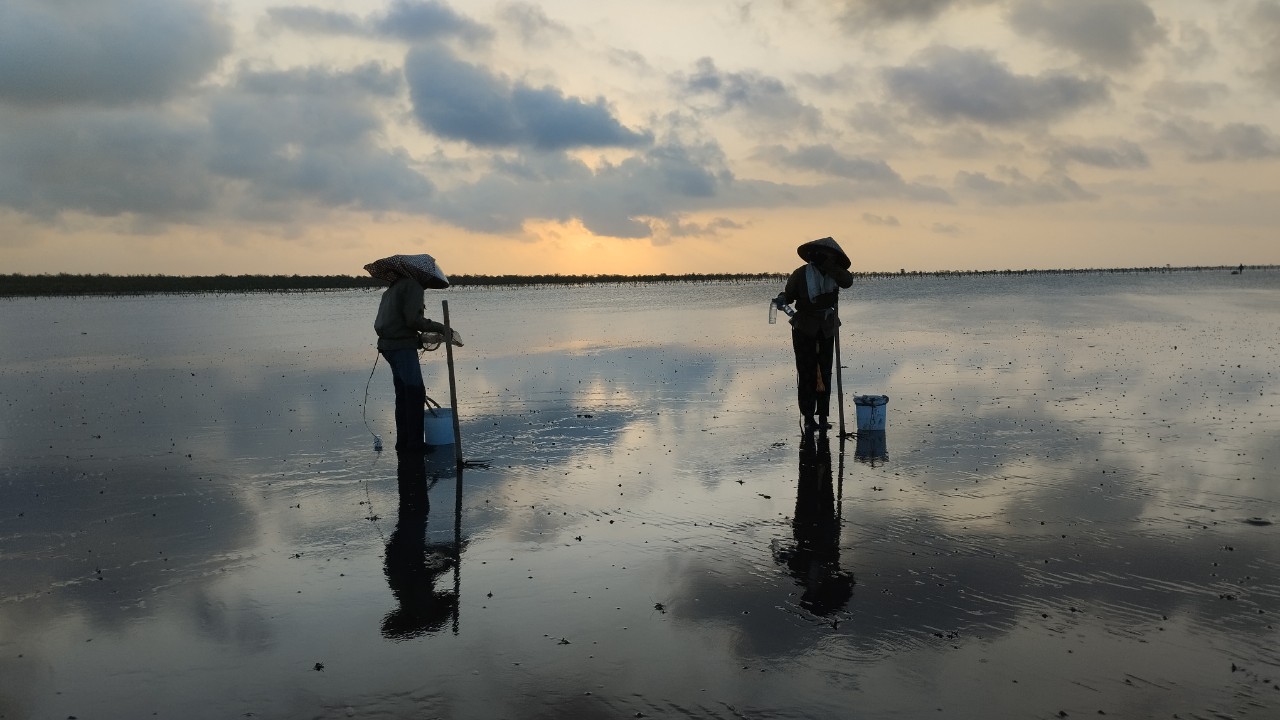 Thai Binh Infinity Beach