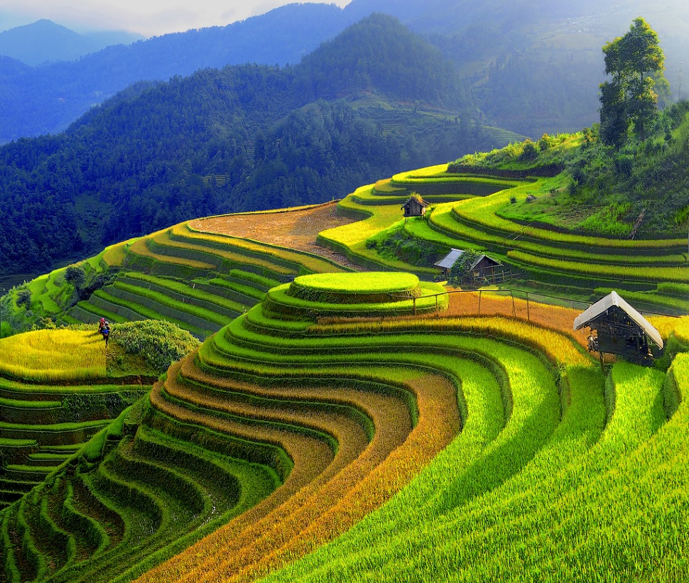 reasons to visit Vietnam- breathtaking landcapes