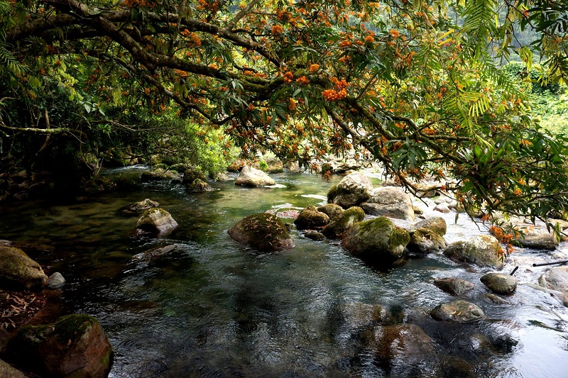 Nuoc Moc stream - Quang Binh