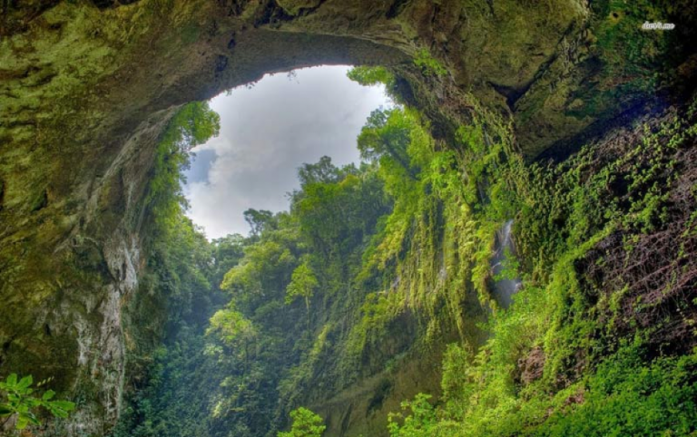 Son Doong cave