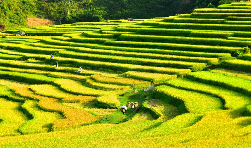 travel tips to Sapa & Bac Ha market4