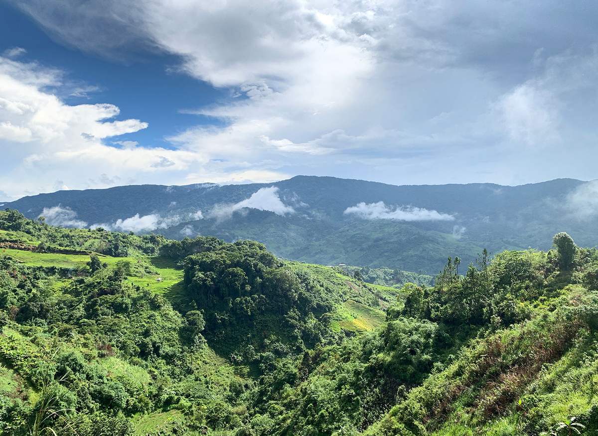 Ngoc Linh National park