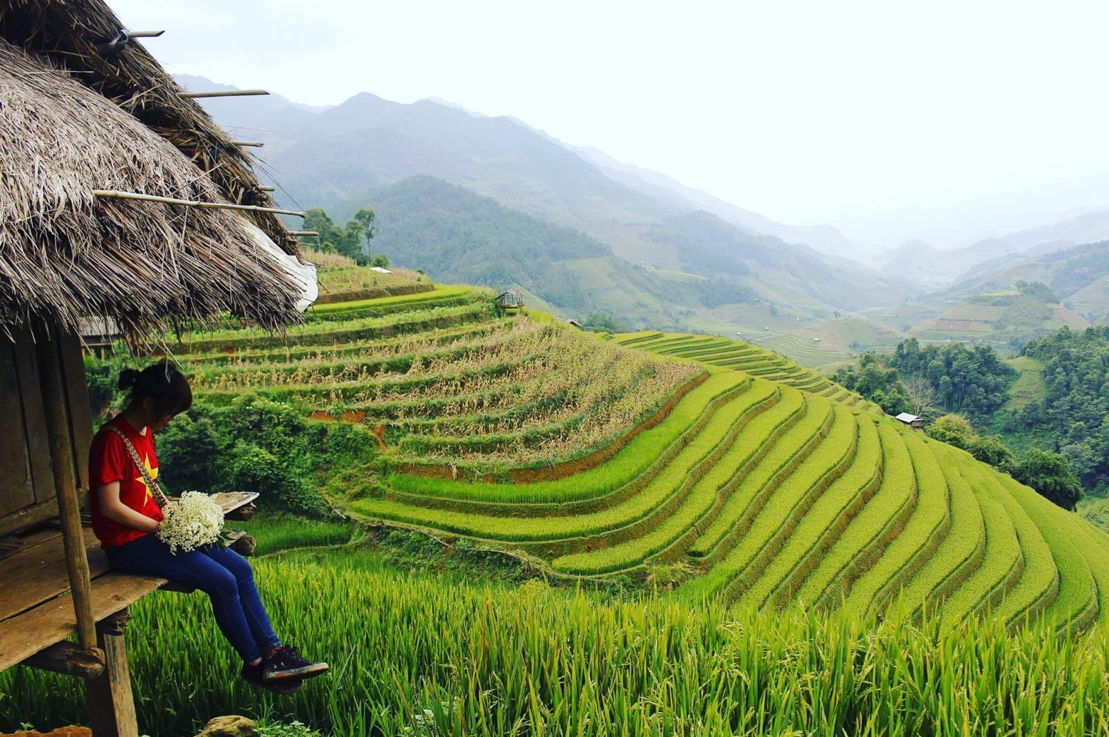 Trekking experience Mu Cang Chai