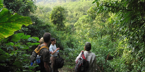 2-Day Ninh Binh Tour: Cuc Phuong Trekking, Galaxy Grotto Boat Ride & Hoa Lu Temples