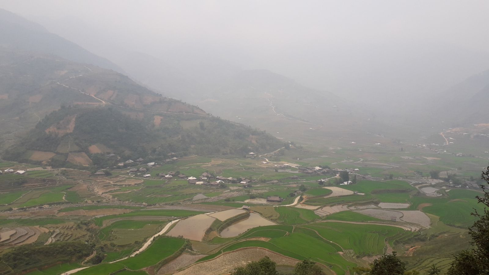 Rice terraces in Tu Le valley