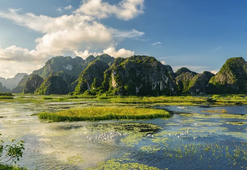 Van Long day trip Ninh Binh
