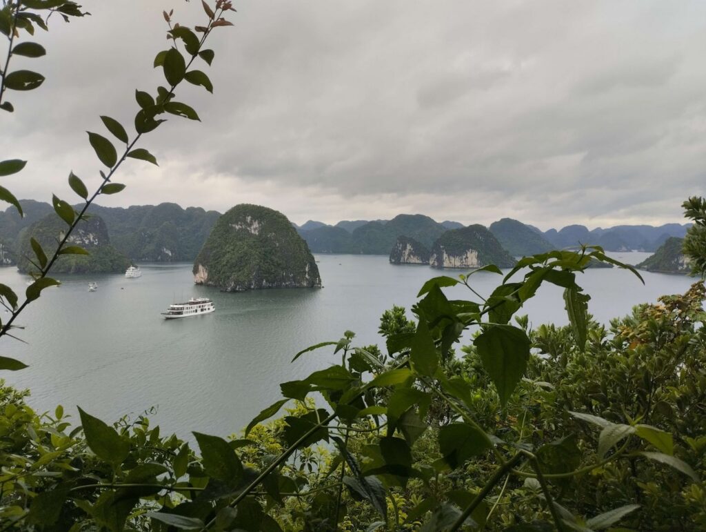 Victory Cruise – Experience Halong Bay the Authentic Way