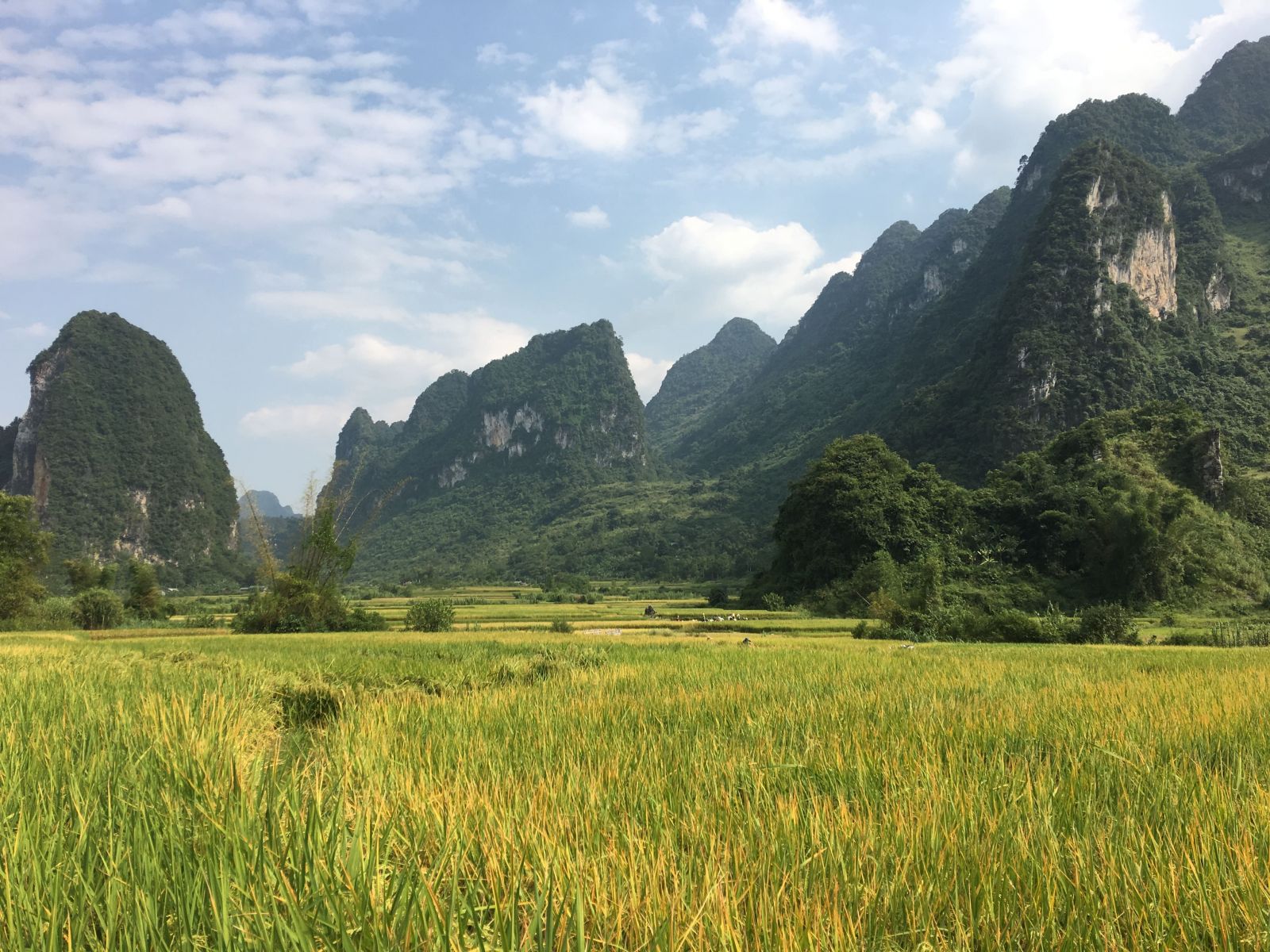 Ban Gioc waterfall - Cao Bang1