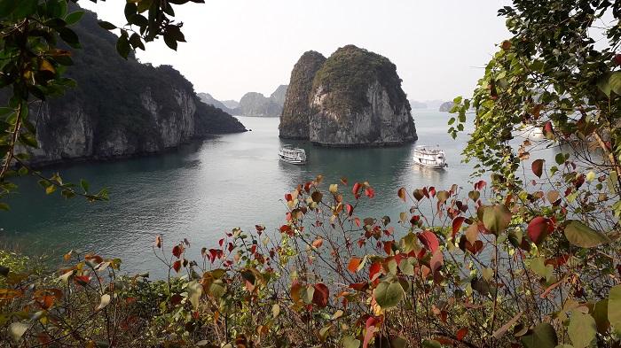Halong bay- top reason to visit Vietnam