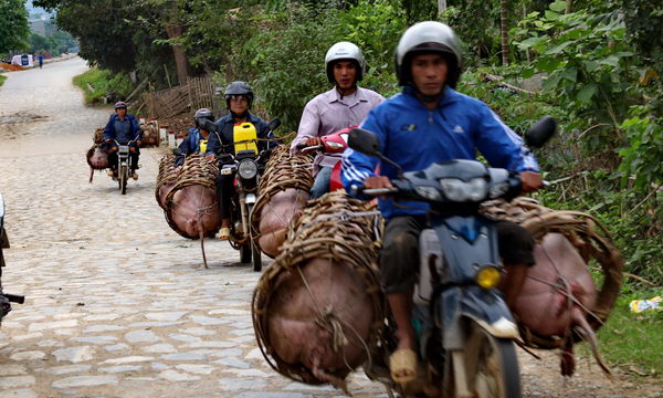 E-Visa- Vietnam