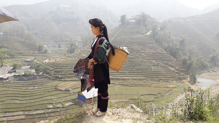 The valley ddowwn Y Linh Ho village