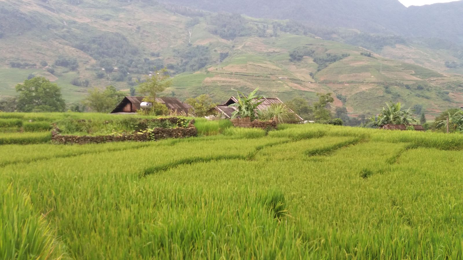 private car hire to sapa1