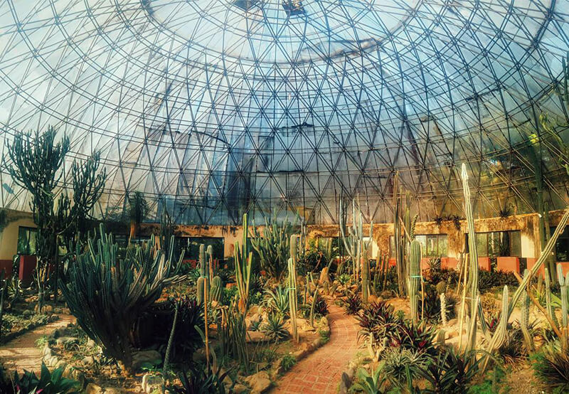 Cactus garden Ba Vi