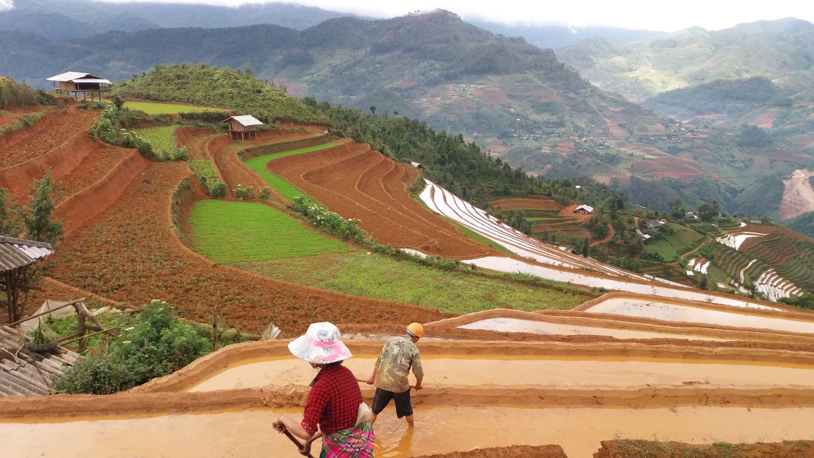 Farm work in Mu Cang Chai rice terraces
