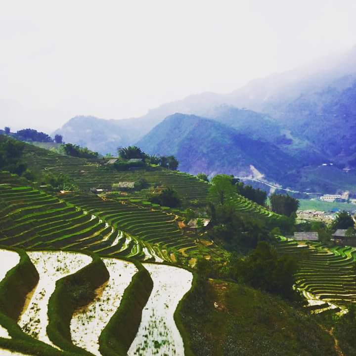 Vietnam climate & weather8