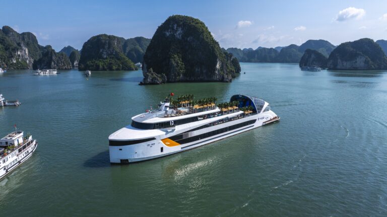 Luxury Halong Bay Day Trip Aboard the 6-Star Dolphin Cruise