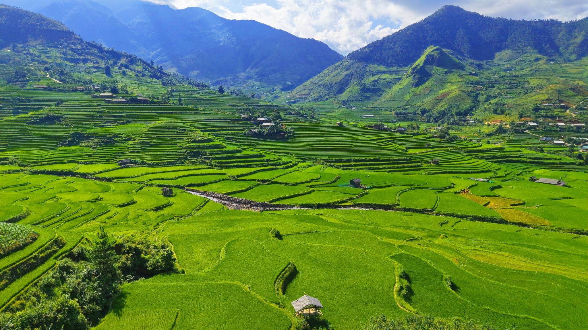 Mu Cang Chai Green Rice Terraces