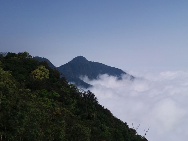 Tay Thien Pagoda & Tam Dao Mountain Exploration