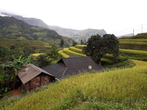 Hoang Su Phi – Bac Ha Market- Sapa Trekking Tour Package 4 Days