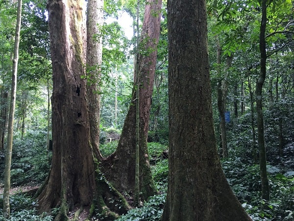 Cuc Phuong Adventure Trek & Van Long Nature Reserve Tour
