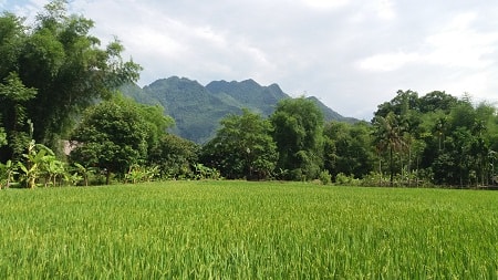 Mai Chau Day Tour