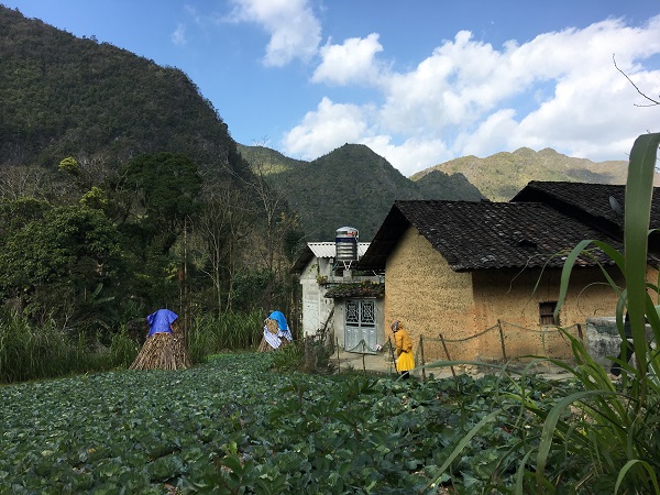 Dong Van Geopark Exploration Tour
