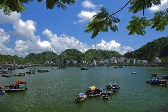 Cat Ba Island Adventure Tour