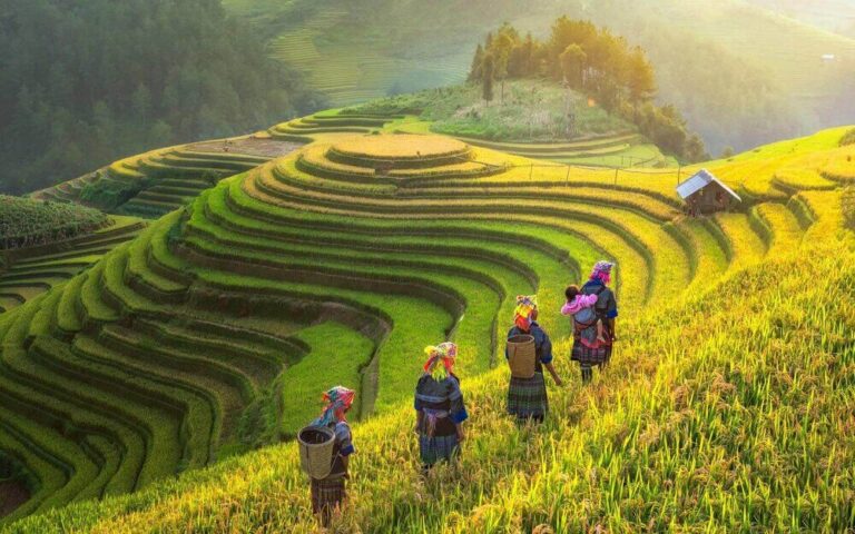Untouched Beauty Of The North Vietnam