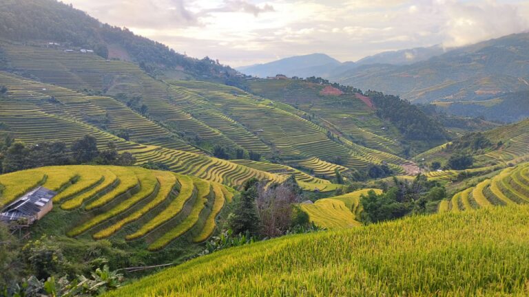 Bac Ha Market – Sapa – Mu Cang Chai Tour Package 5 days