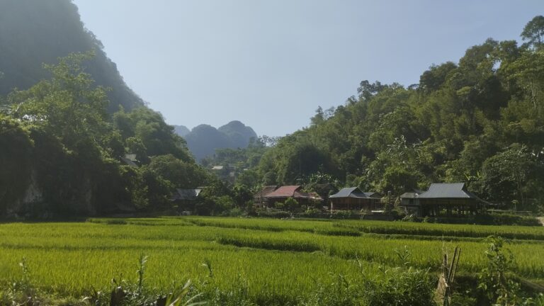 Mai Chau Pu Luong Trekking Tour