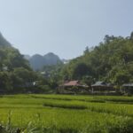 Untouched Northern Vietnam: From Hidden Valleys to Majestic Mountains