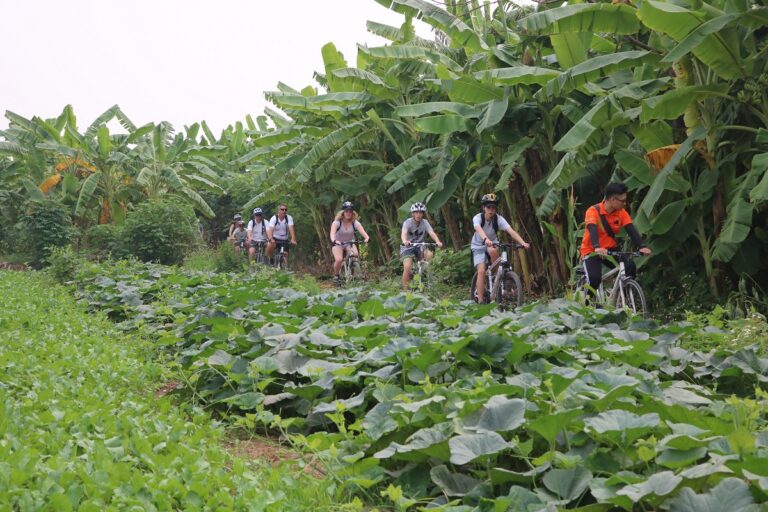 Backstreet Hanoi Biking Tour: Explore Rural Areas & Hidden Gems in 4 Hours