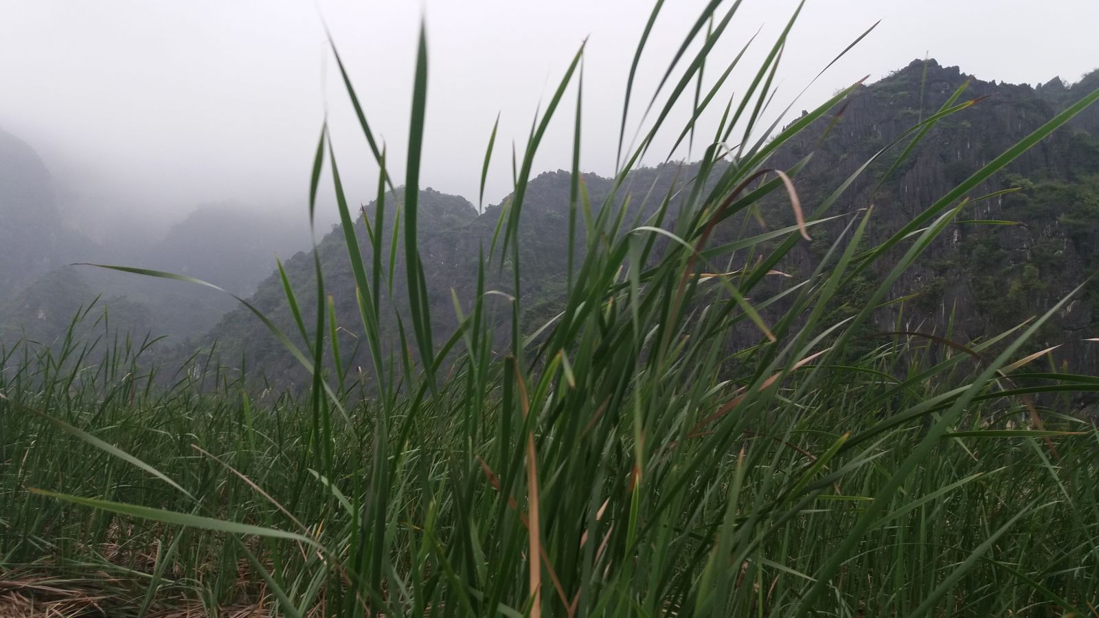 Tam Coc - Bich Dong - Cuc Phuong National Park Tour 2 Days2